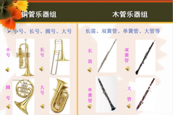赵亮_meitu_4.jpg