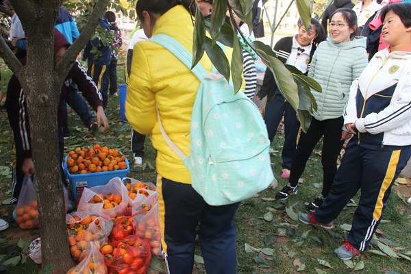 IMG_8214_副本.jpg