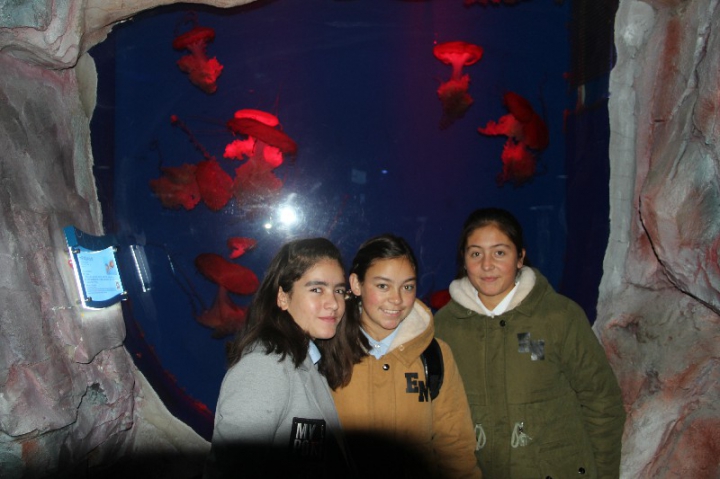 IMG_9857.jpg